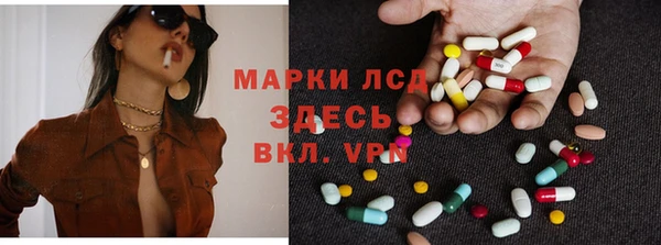 прущие грибы Покровск